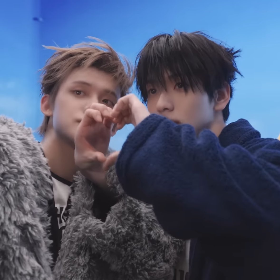 🐈 hailee fan tweet media