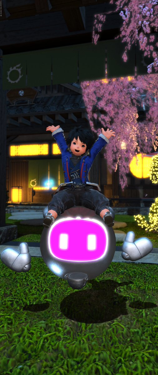 よっしー🐨 tweet media