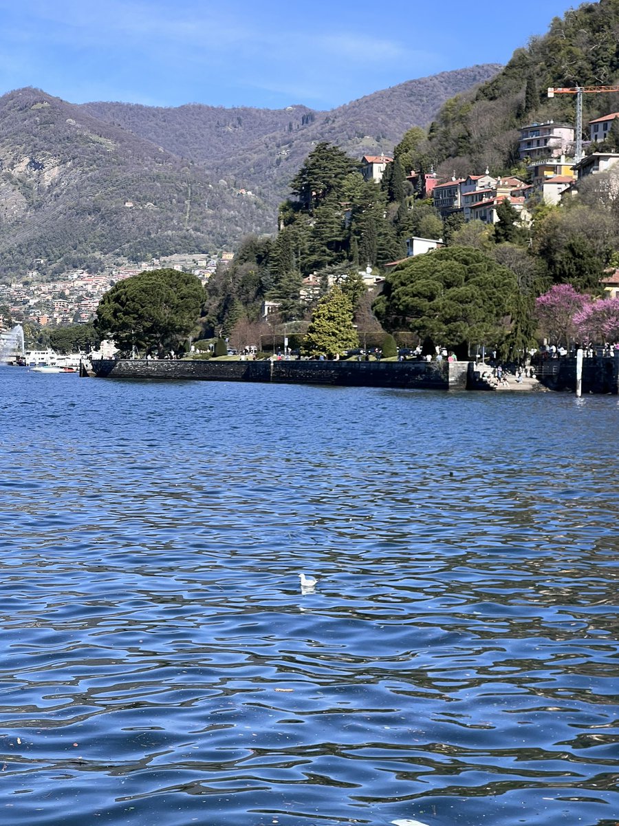 chille 🎄🤍 tweet media