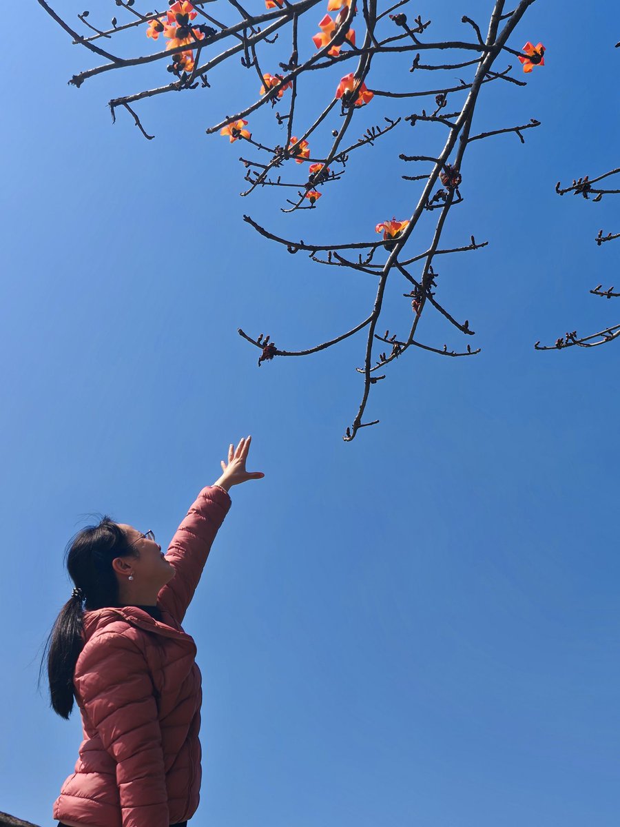 jefferson（互fo必回） tweet media