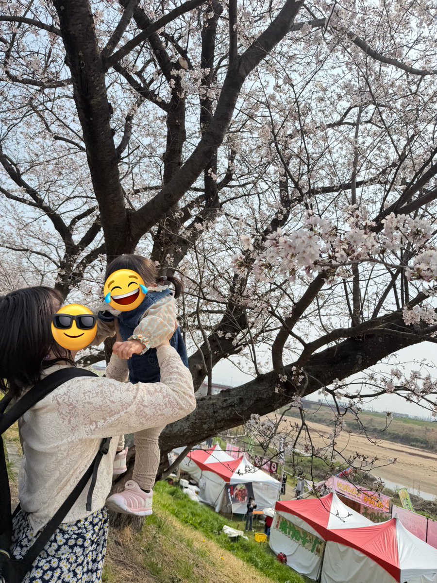 ◯🐾まちゅ🦔💜 tweet media