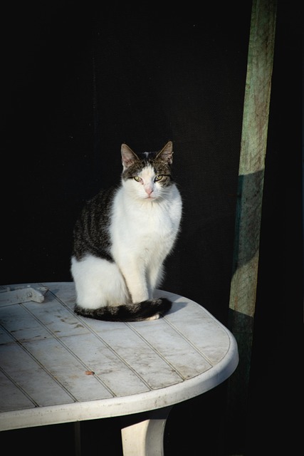 Manny Hultgren tweet media