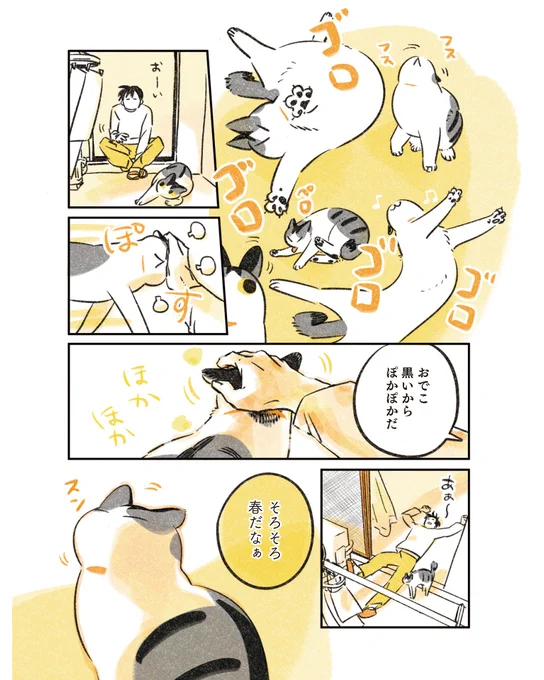 猫と暮らしている日記(0/6) 