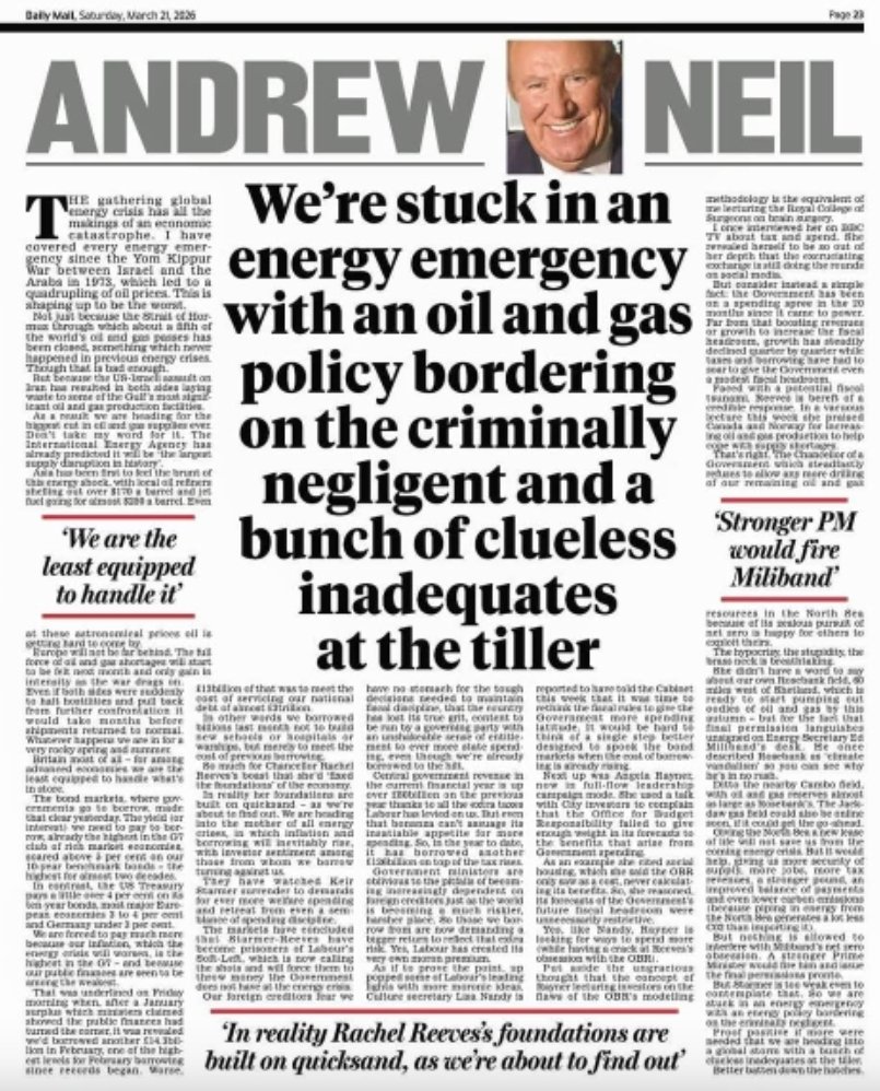 Bisontraveller tweet media