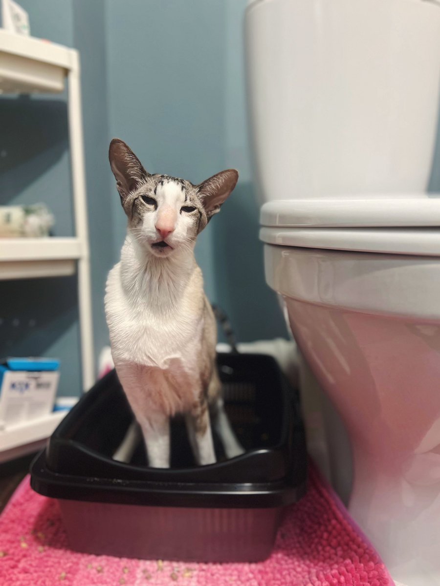 найт a n g e l e s tweet media