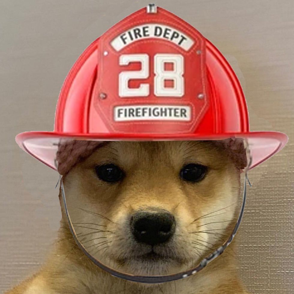 Boho 🌊 tweet media