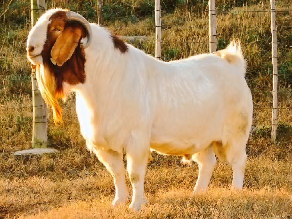 Germaine ABAYIRINGIRA tweet media