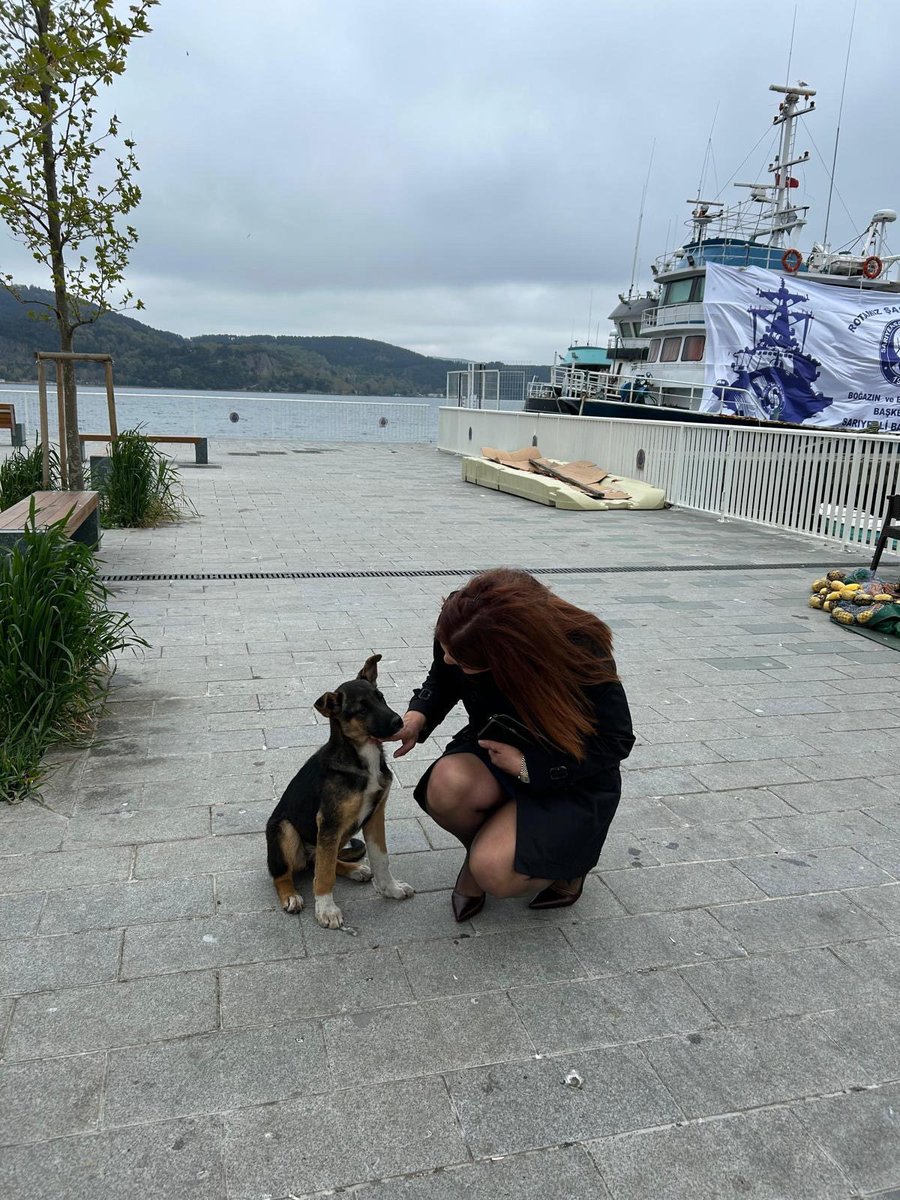 JulideLtepe's tweet photo. Küçücük bir dokunuşla kocaman bir kalbe dokunmak...
Onlar hayatımızın en güzel parçası..
SEVELİM KIRMAYALIM📌🤍
#DünyaSokakHayvanlarıGünü https://t.co/8I3TMne2Hn