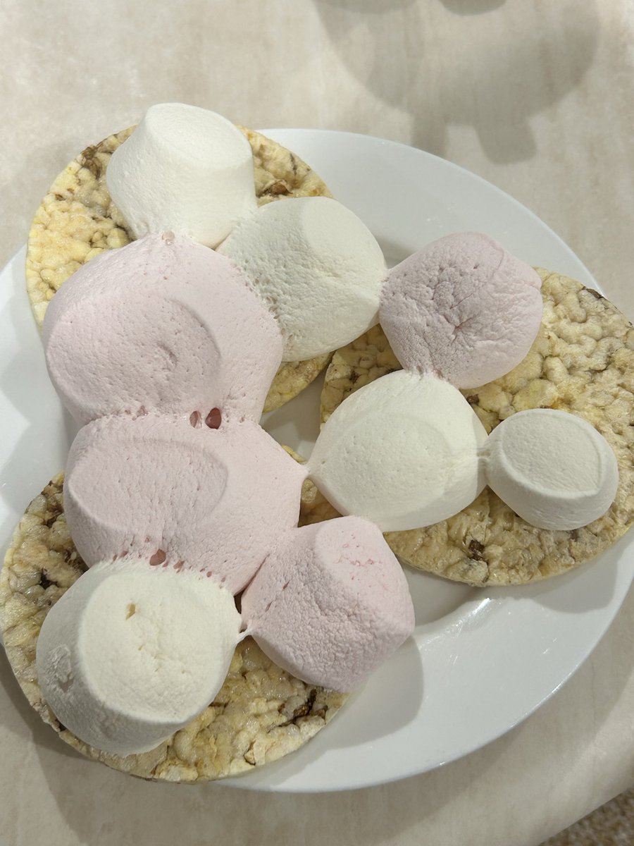 ⁺˚・ may ٭˚🐞୨˚٭ (-10/35kg) tweet media