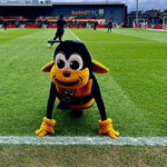 Photo by mr bumble (@mrbumblebfc)