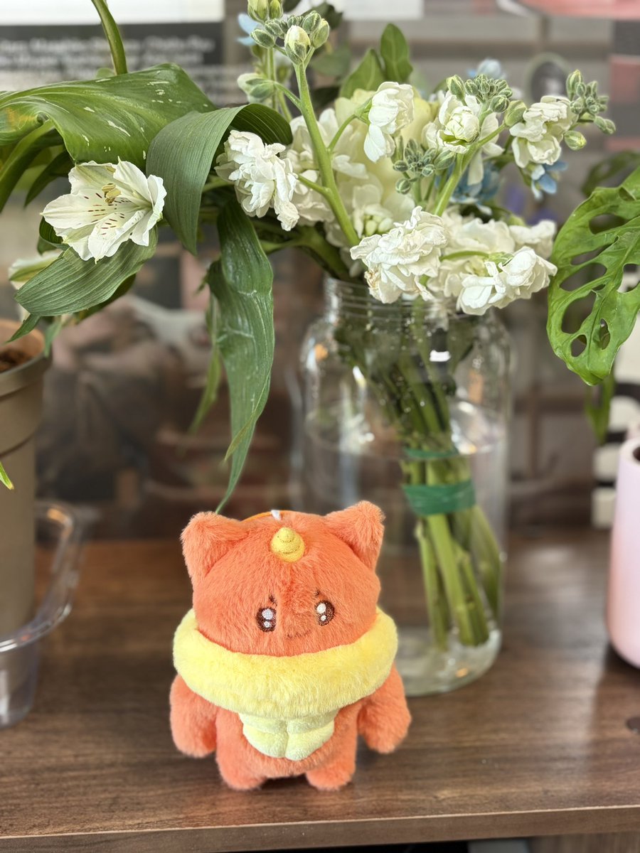 체스맨 🍍🪐🧃 tweet media