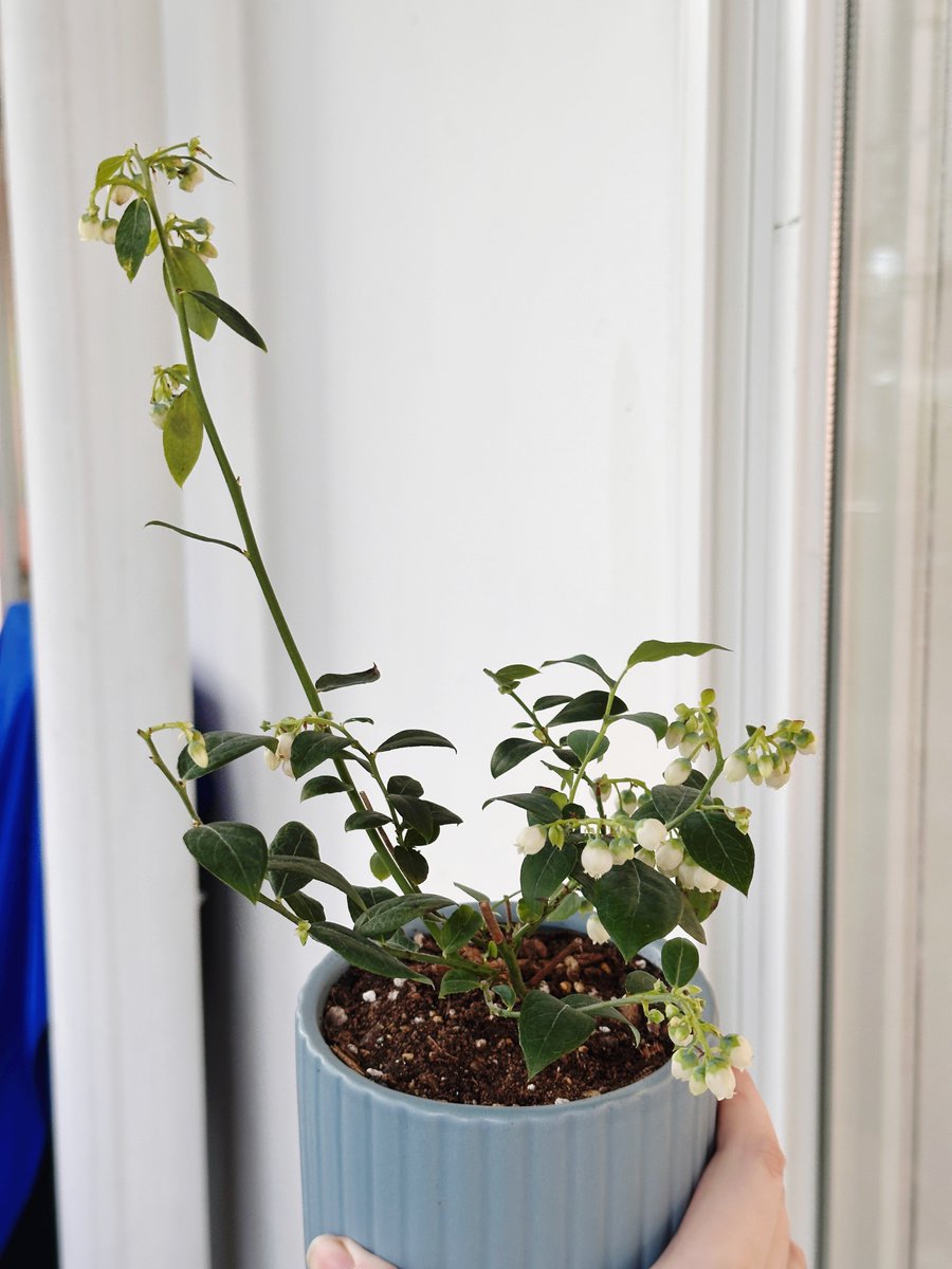 써니의 자근 방☀️🌱🧶 tweet media