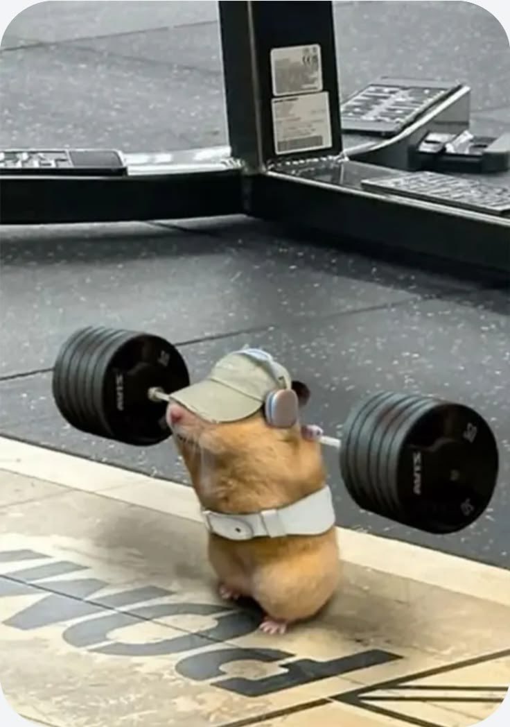 ノックアウト 🎌 tweet media