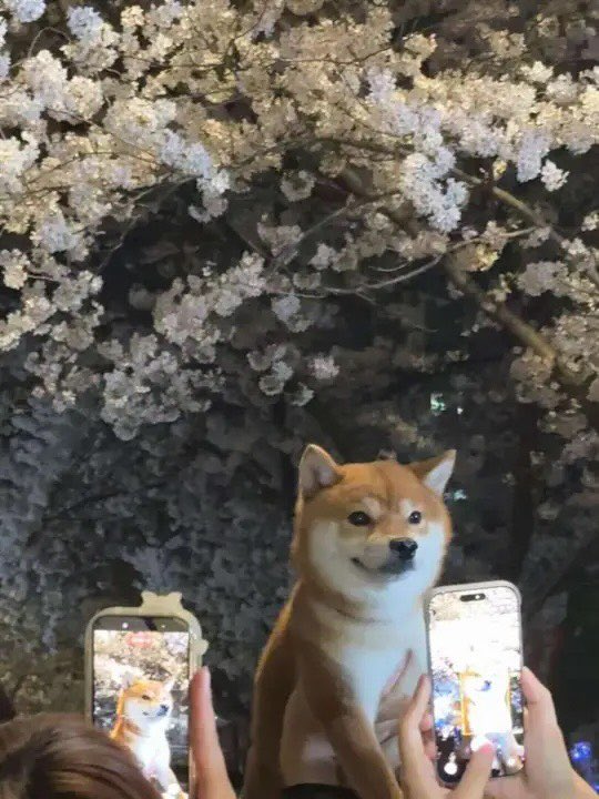 용천혈 tweet media