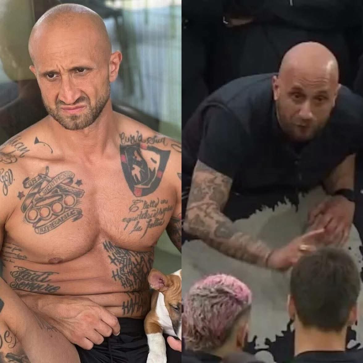 milan world - عالم ميلان tweet media