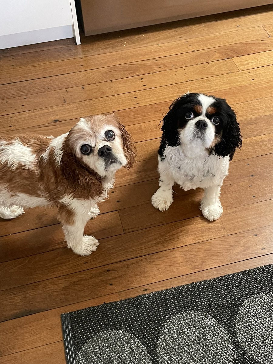 eggo ⚰️ PATHO 3 SPOILERS tweet media