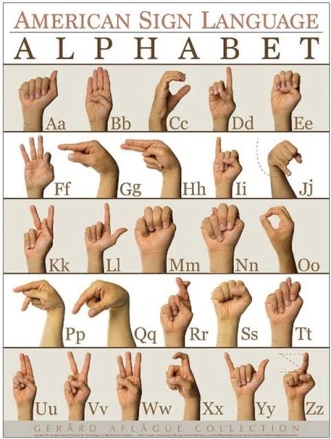 Bobsam97123798's tweet photo. I did such a good job I got a small promotion now I get to teach gorillas sign language https://t.co/tUxxqz3mAL
