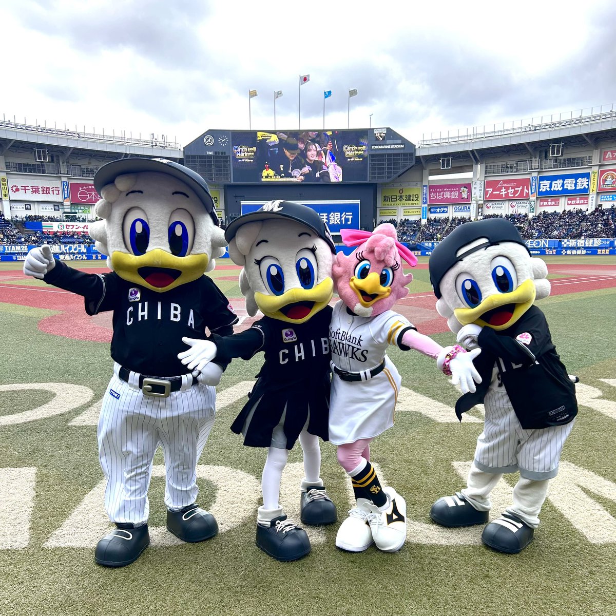 ハリーホーク(公式) tweet media