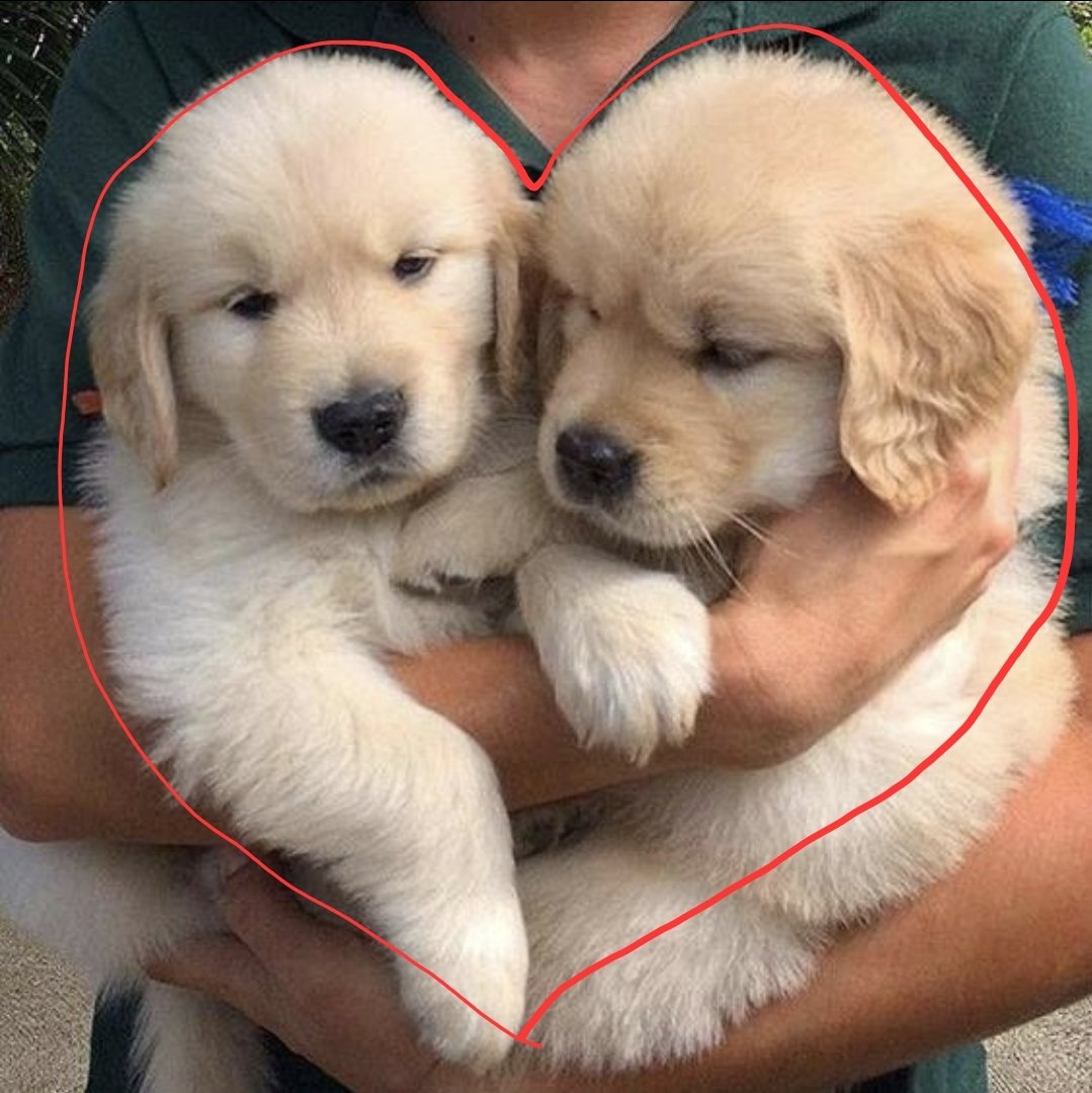 Snail υ´• ﻌ •`υ🏳️‍⚧️🐌🐾 tweet media