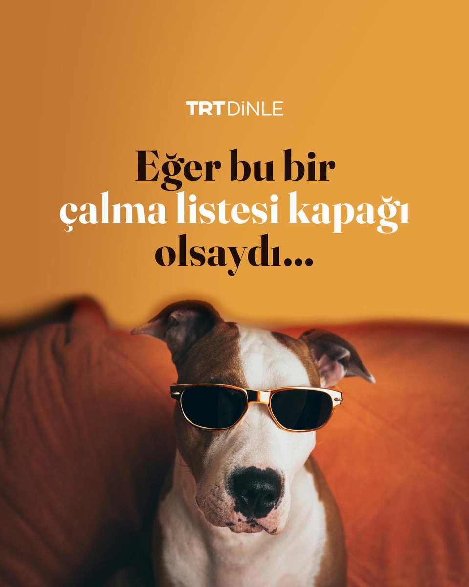 TRT Dinle tweet media