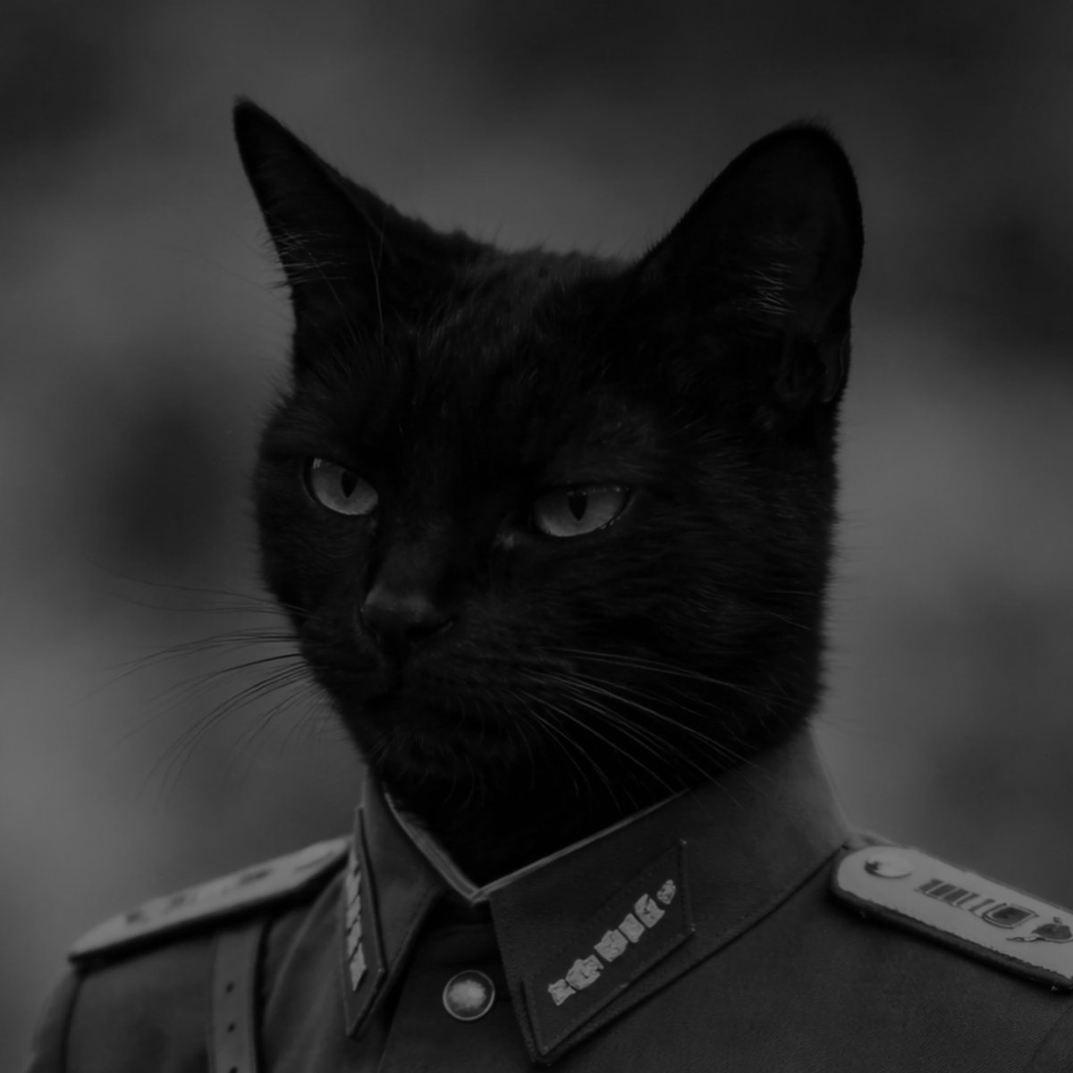 FH04 ッ tweet media