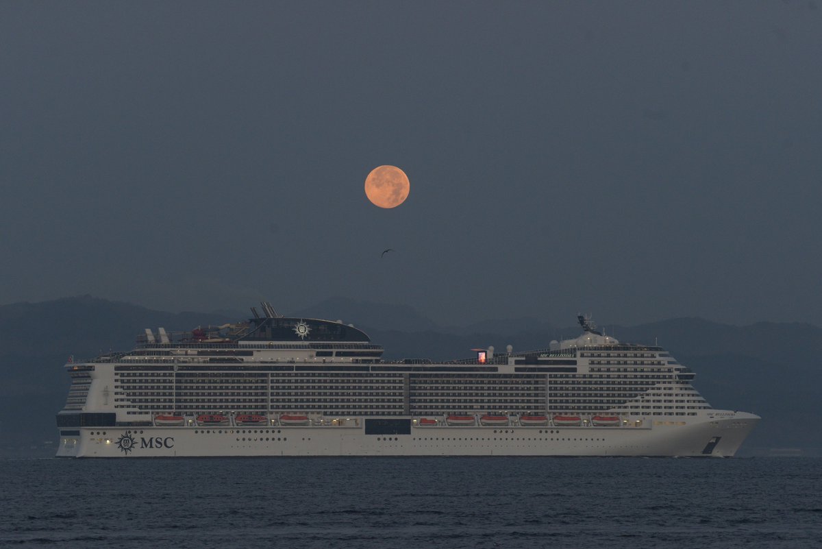 徳家広幸 tweet media