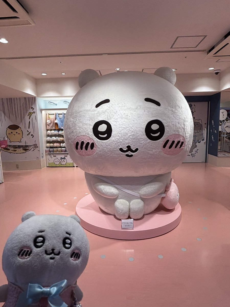 NAO104🙂フッ軽ちい活家(ᵔᴥᵔ) tweet media