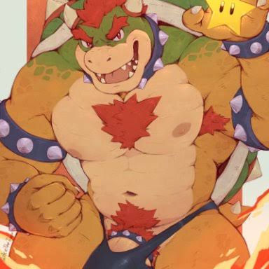 Bowser tweet media