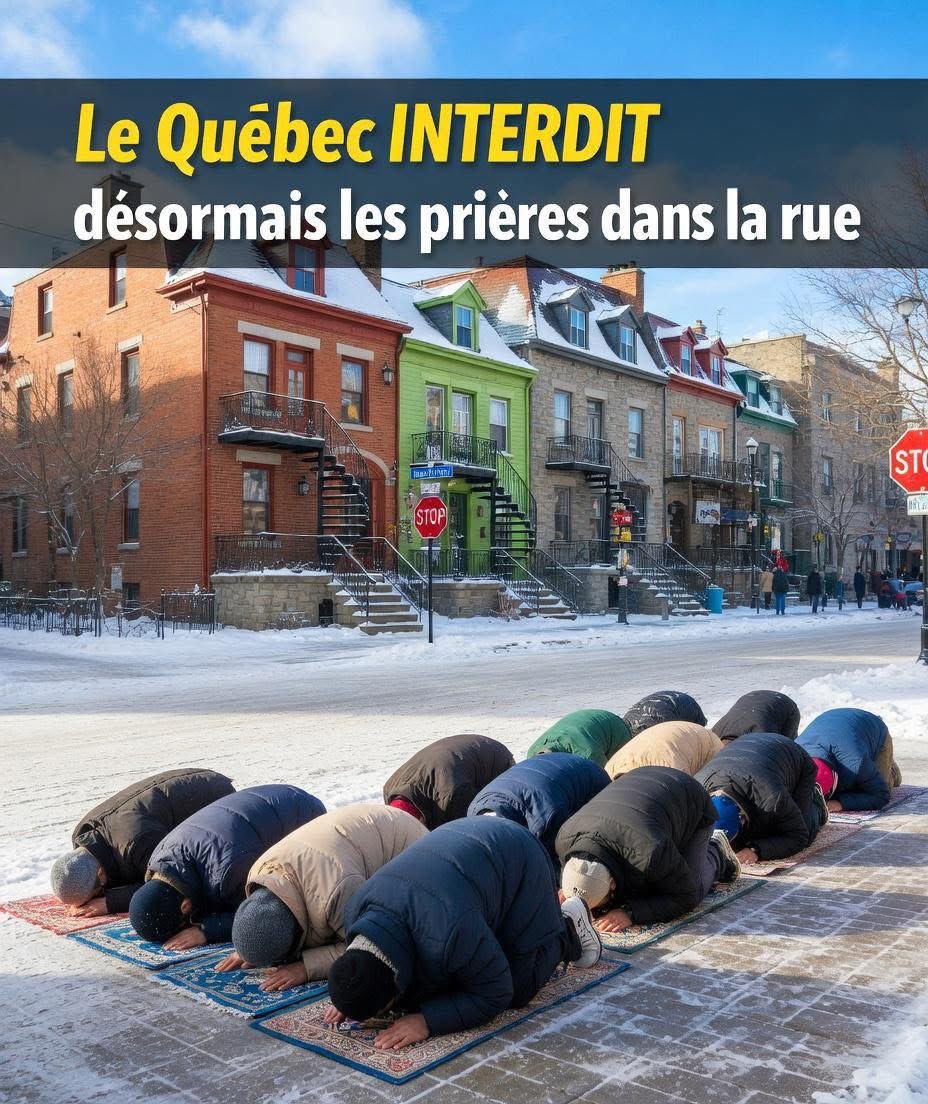 gay patriote🇮🇹🇫🇷 tweet media