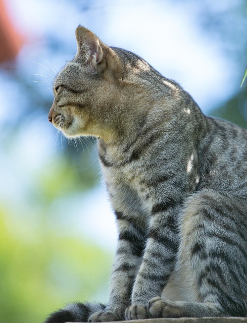 Shawn Smith tweet media