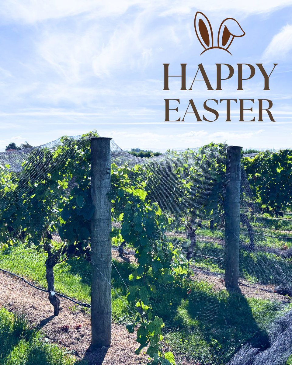 The Elder Pinot tweet media