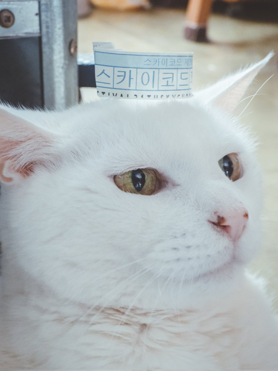 📸그냥형 tweet media