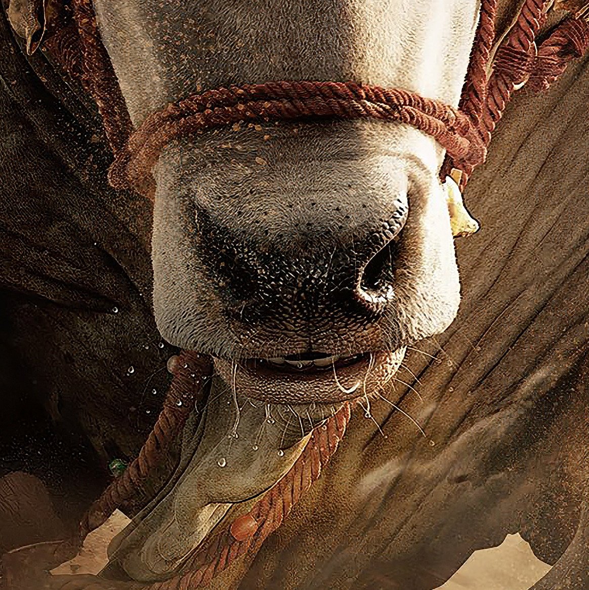 Chaitu DHFM tweet media