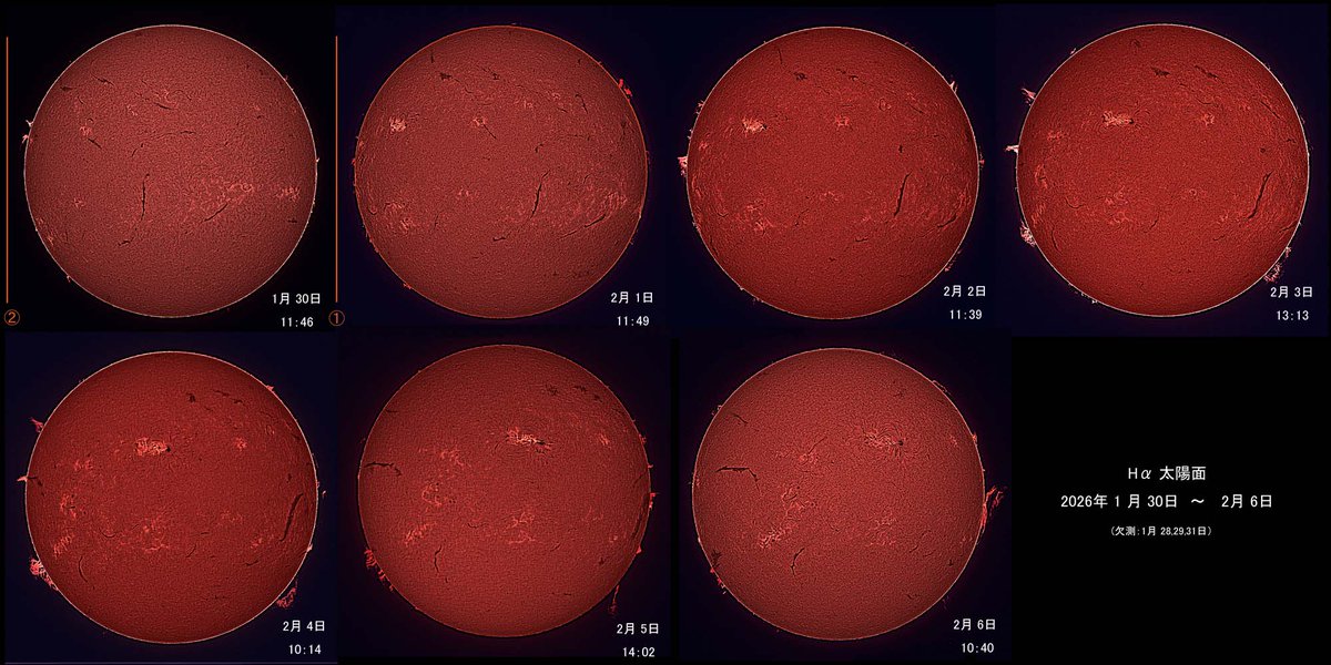 星のきんさん tweet media