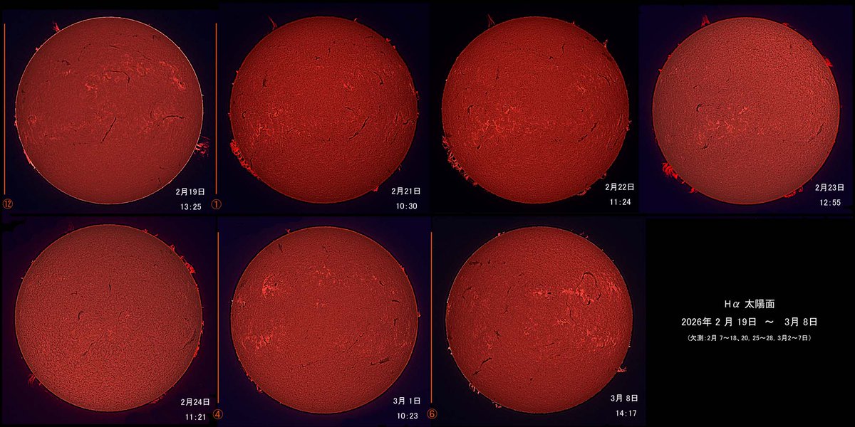 星のきんさん tweet media