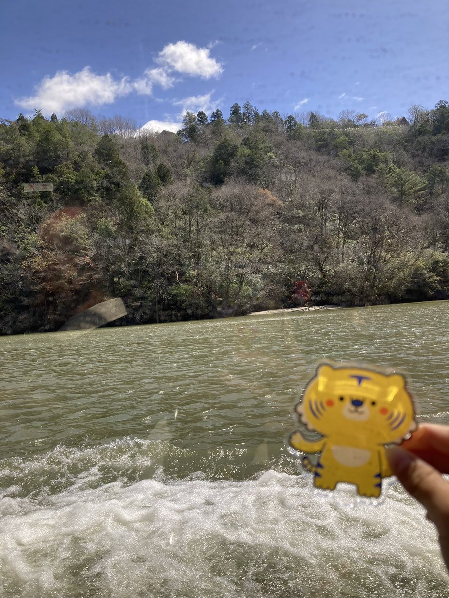 ティーズチャンネル tweet media