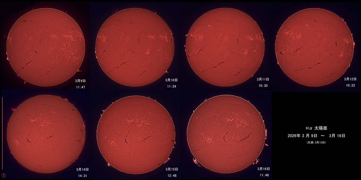 星のきんさん tweet media