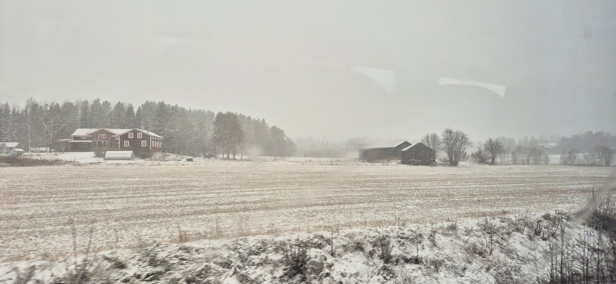 Tillbaka till snön...