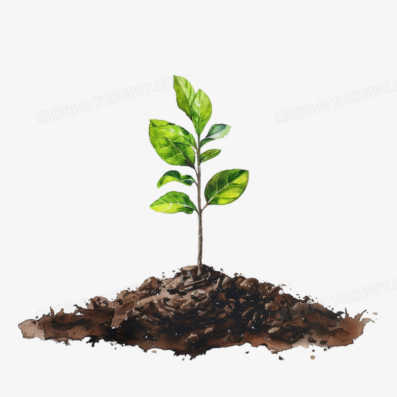 นัท tweet media