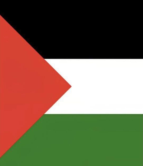 🗣🇵🇸  Pope Tawadros II of Alexandria:

"The church always prays for Palestine, for peace to reign and for wars to cease... and we support the Palestinian cause through the ages."