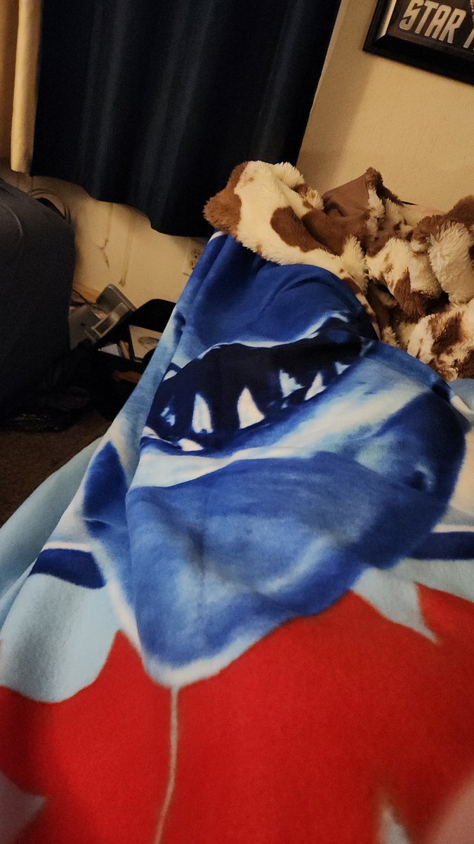 𝕷𝖚𝖈𝖎𝖋𝖊𝖗 tweet media