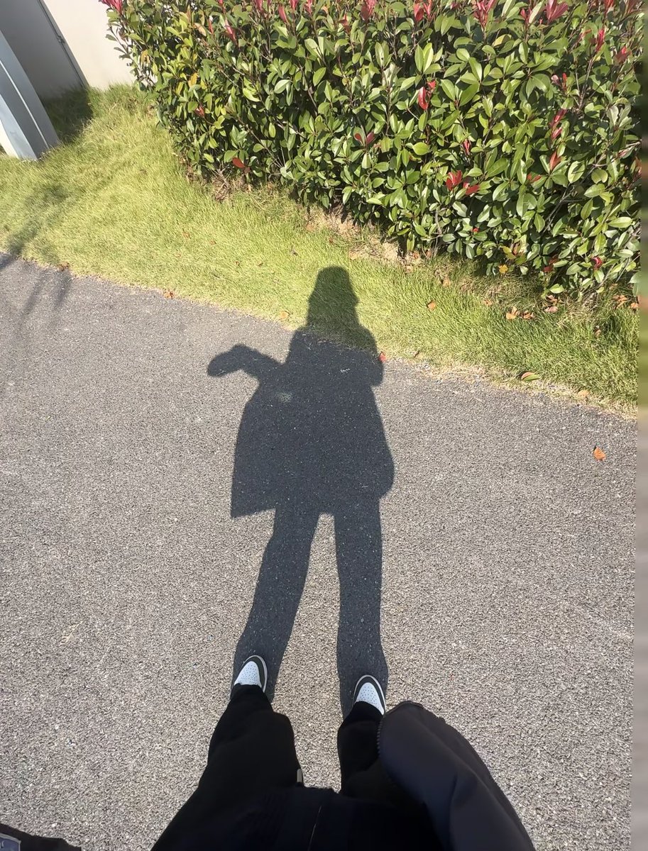 张浪浪浪浪🌊 tweet media