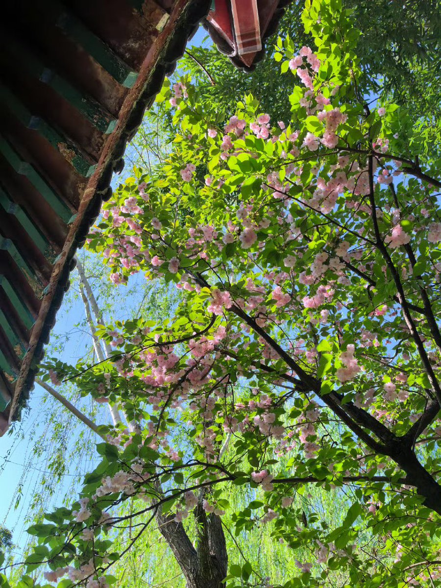 张浪浪浪浪🌊 tweet media