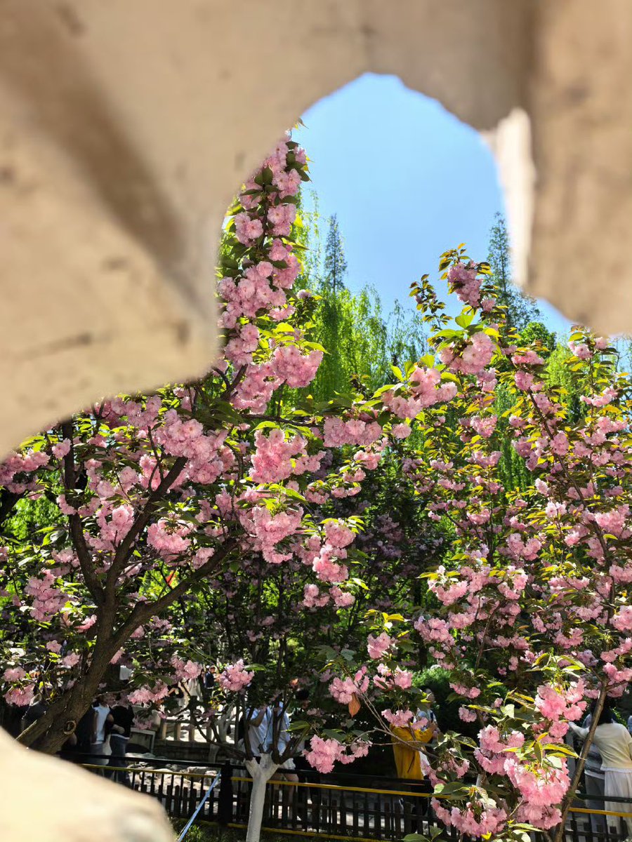 张浪浪浪浪🌊 tweet media