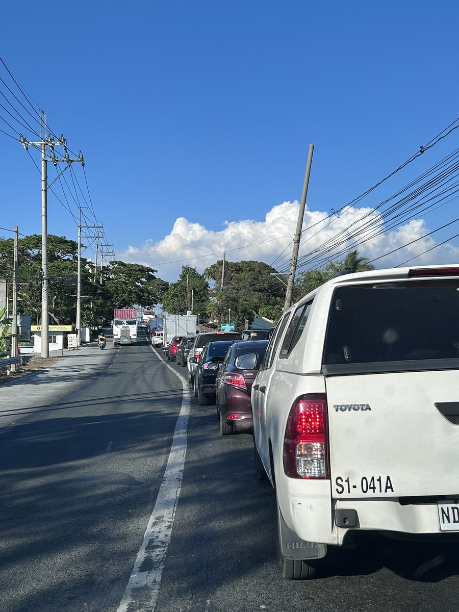 Liam Thomas Recacho tweet media