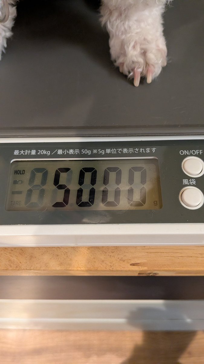 やっちまった