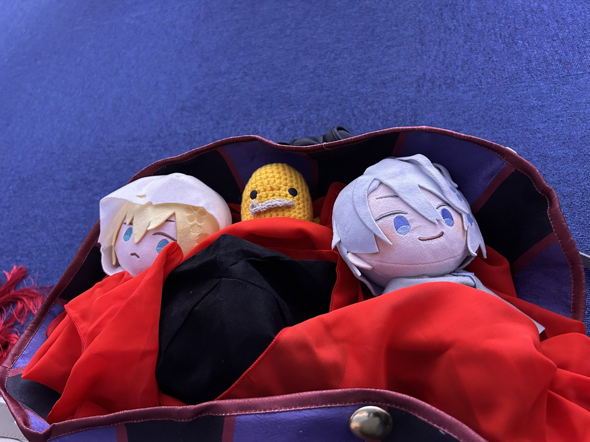 琥梅(こうめ) tweet media