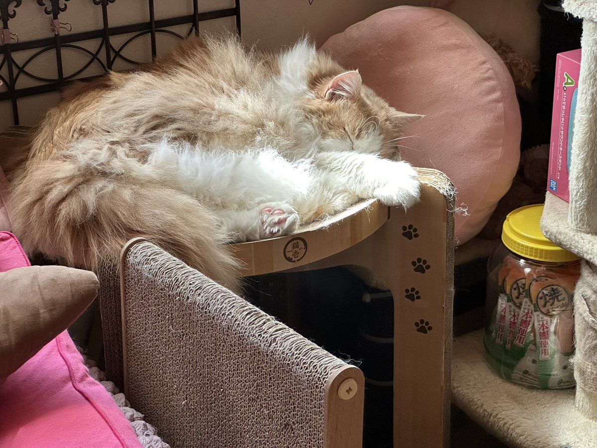 さつきRin tweet media