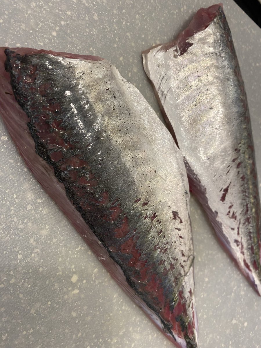 よしださん（変態ビシアジおじさん） tweet media