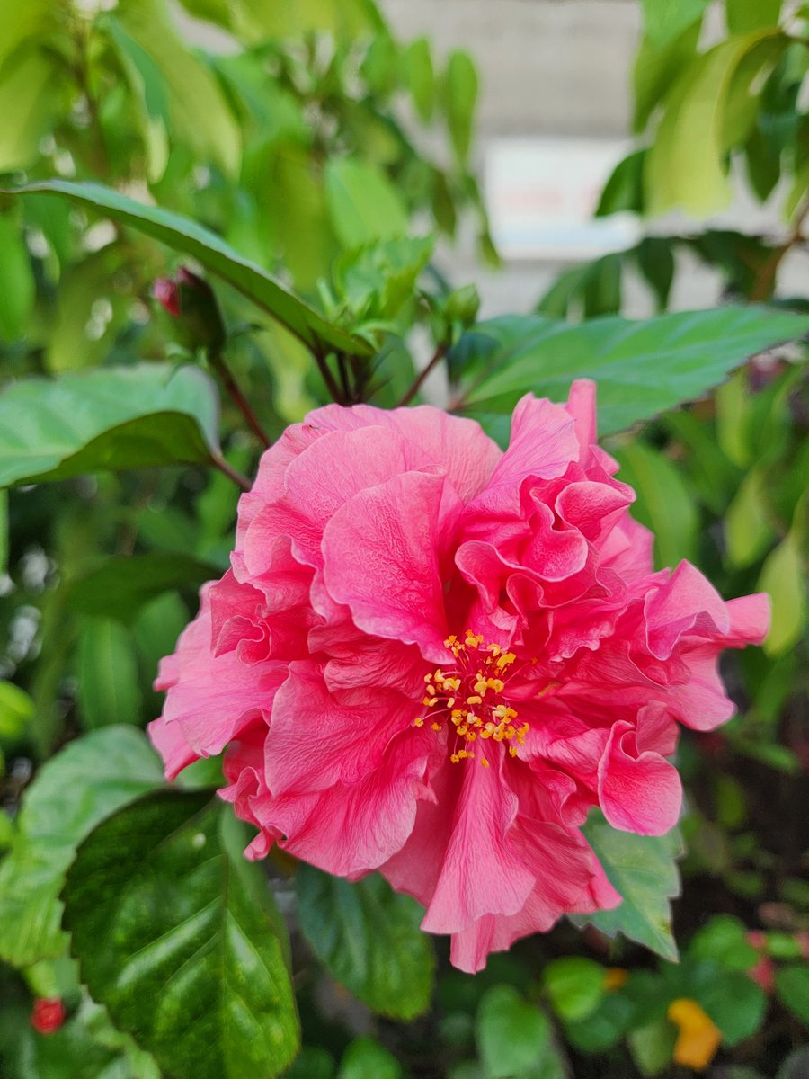 A Stark in Slytherin tweet media